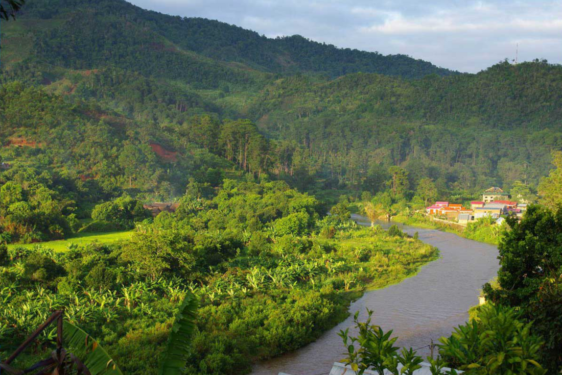 Comment se rendre à Madagascar