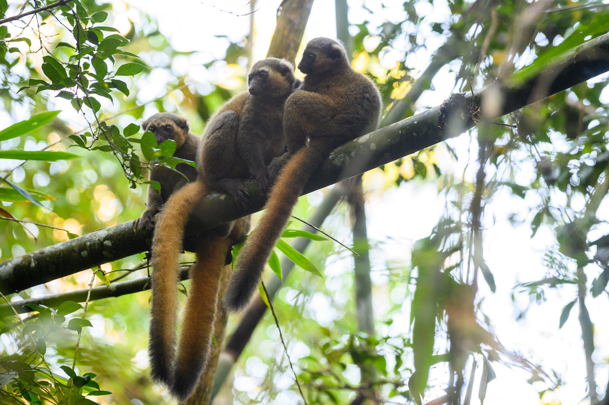 Voyage en famille