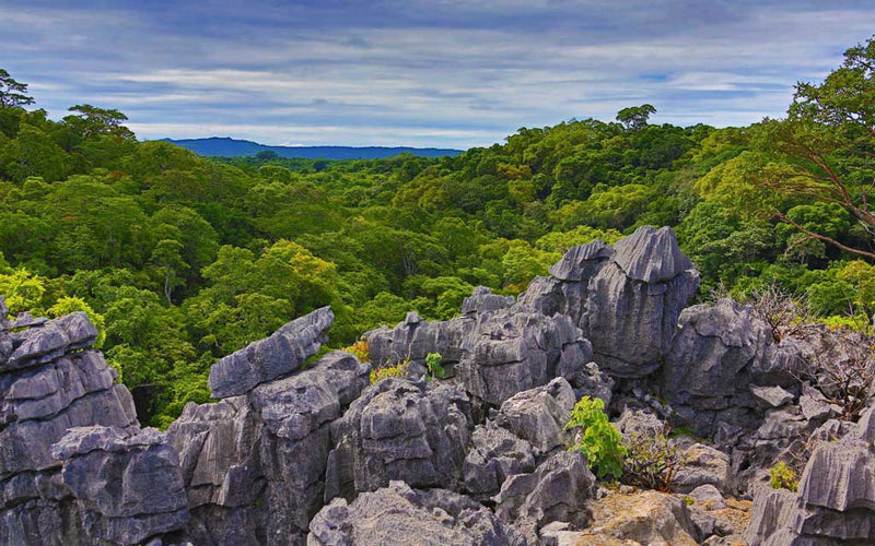 Randonnée dans les Tsingy de l’Ankarana ( de 03 à 06h de marche)