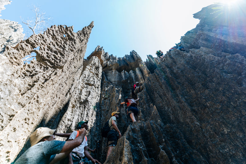 Visite du Parc National de Bemaraha : Les grands Tsingy