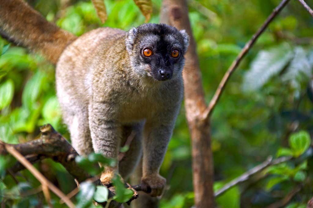 Escape to the land of adventure