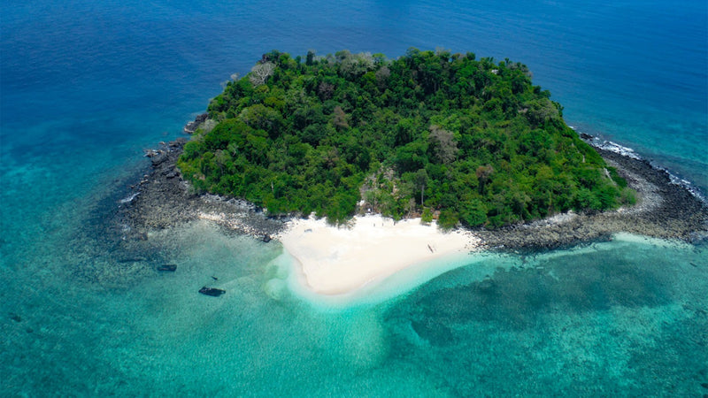 Snorkeling sur Nosy Fanihy et découverte de l'écosystème d’une mangrove