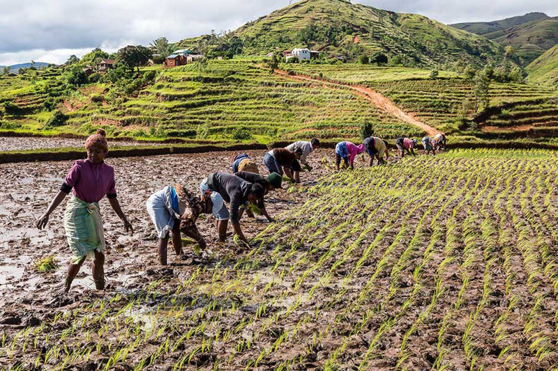 Le village typique d’Ambatomanga