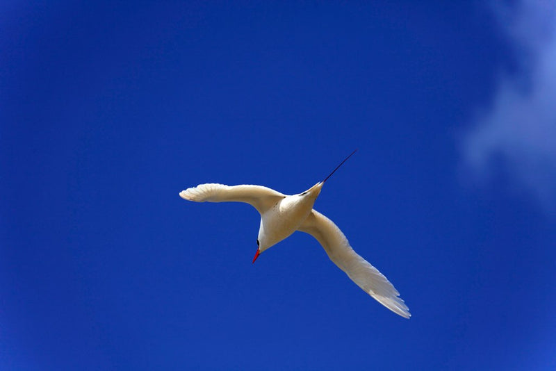 L’île paradisiaque de Nosy Iranja