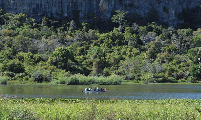 Randonnée dans les Tsingy et balade en pirogue