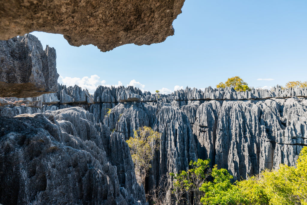 Best of Madagascar :  des Tsingy aux Baobabs, jusqu’à la Route du Sud