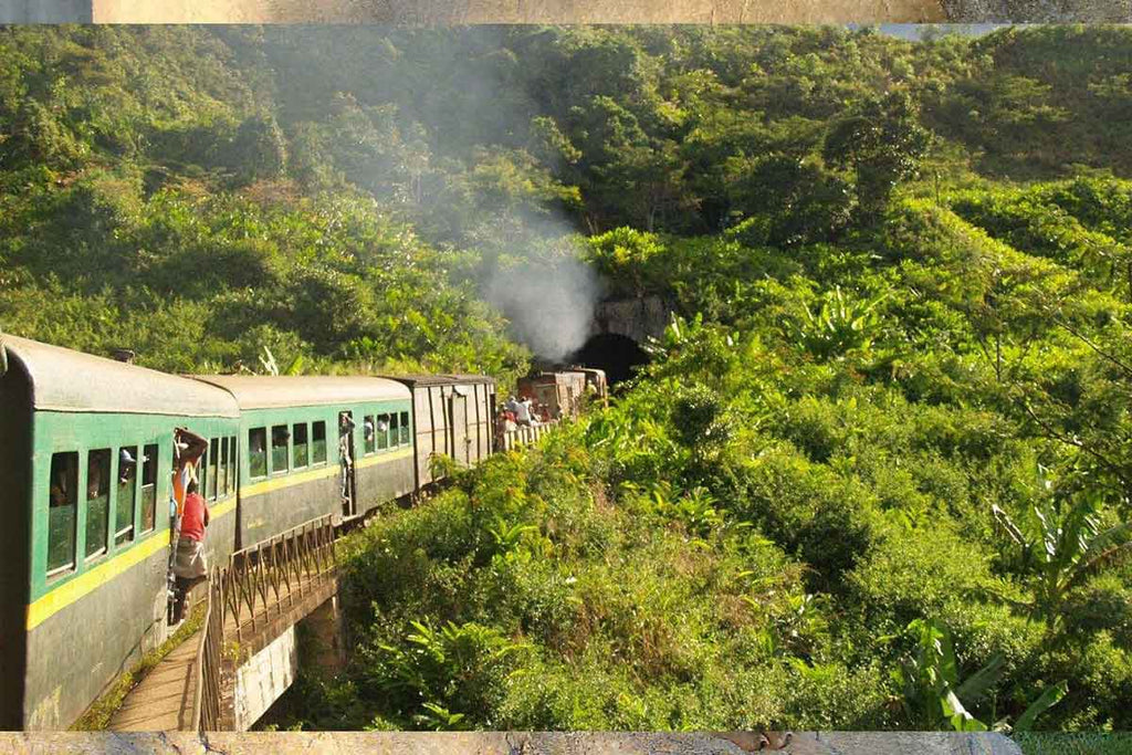 Treasures of the West and magic of Southern Madagascar