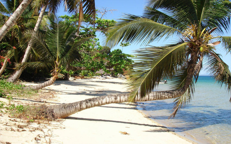 Journée libre sur Nosy Be